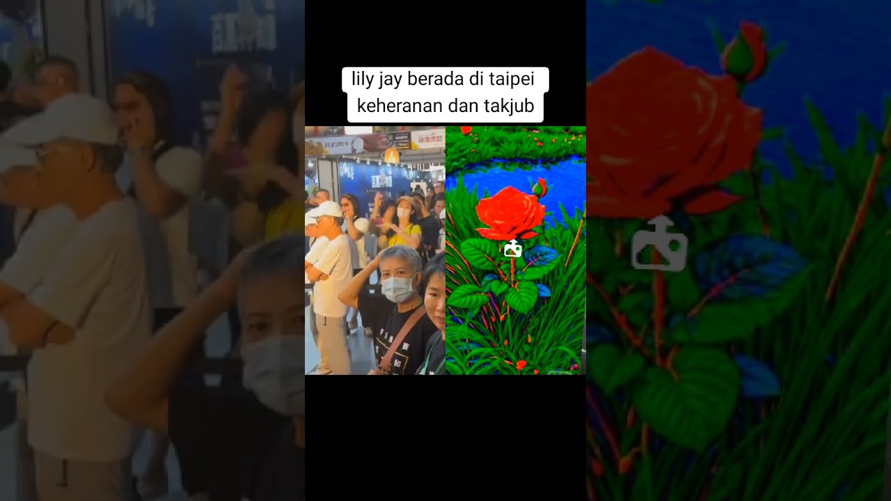 #Lily