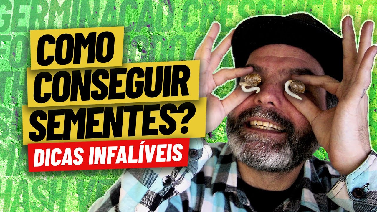 SEMENTE DE MACONHA - Dicas para conseguir sementes para o seu cultivo