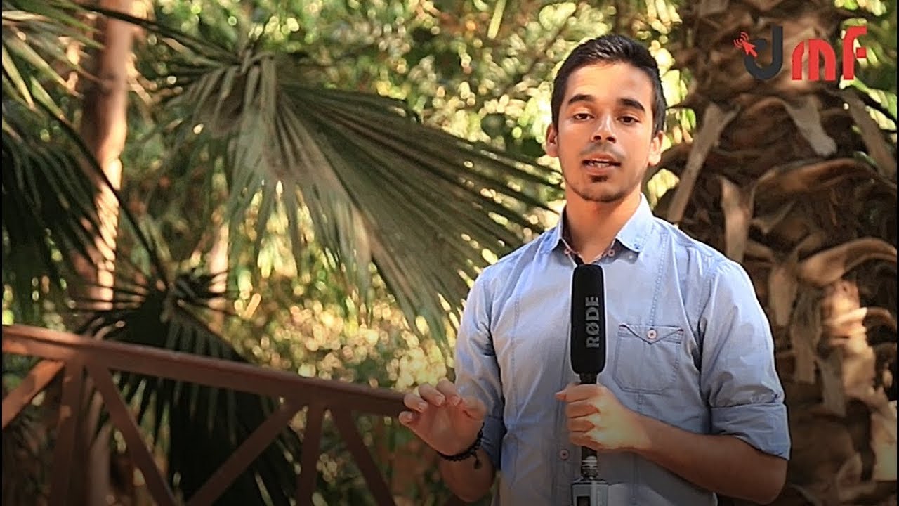 تقرير: محمد سعداوي.. مشروع تخرج المراسل التلفزيوني المحترف مع مراسل فرانس 24 في مصر