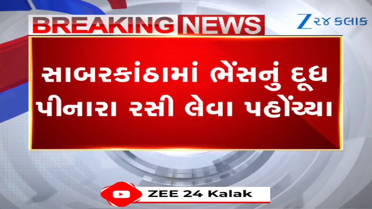 Sabarkantha: ભેંસનું દૂધ પીનારા લોકોએ લીધી હડકવાની રસી! Idarના લાલોડા ગામમાં હડકાયા શ્વાનનો આતંક
