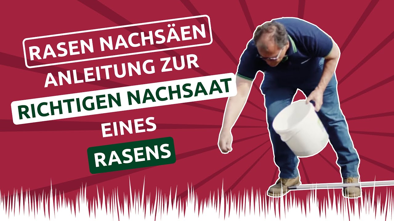 ✅ Rasen nachs&auml;en: Anleitung zur richtigen Nachsaat deines Rasens 🌱