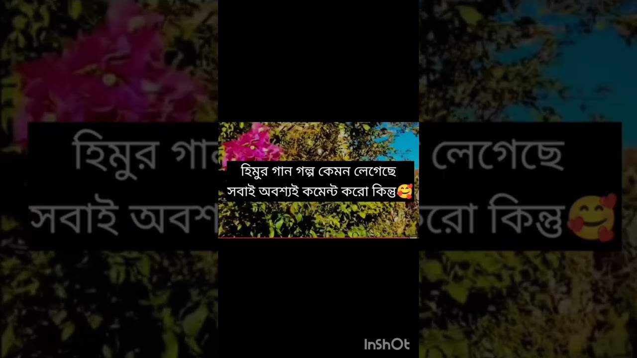 হিমু ভাইয়ার কন্ঠে নতুন গান🥰🥰🥰