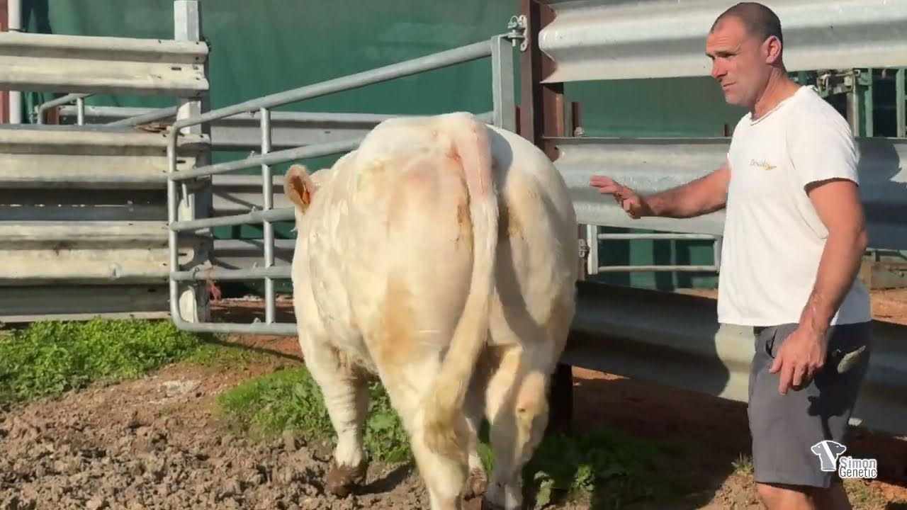 Lot 120 - S&eacute;lection SG 2025