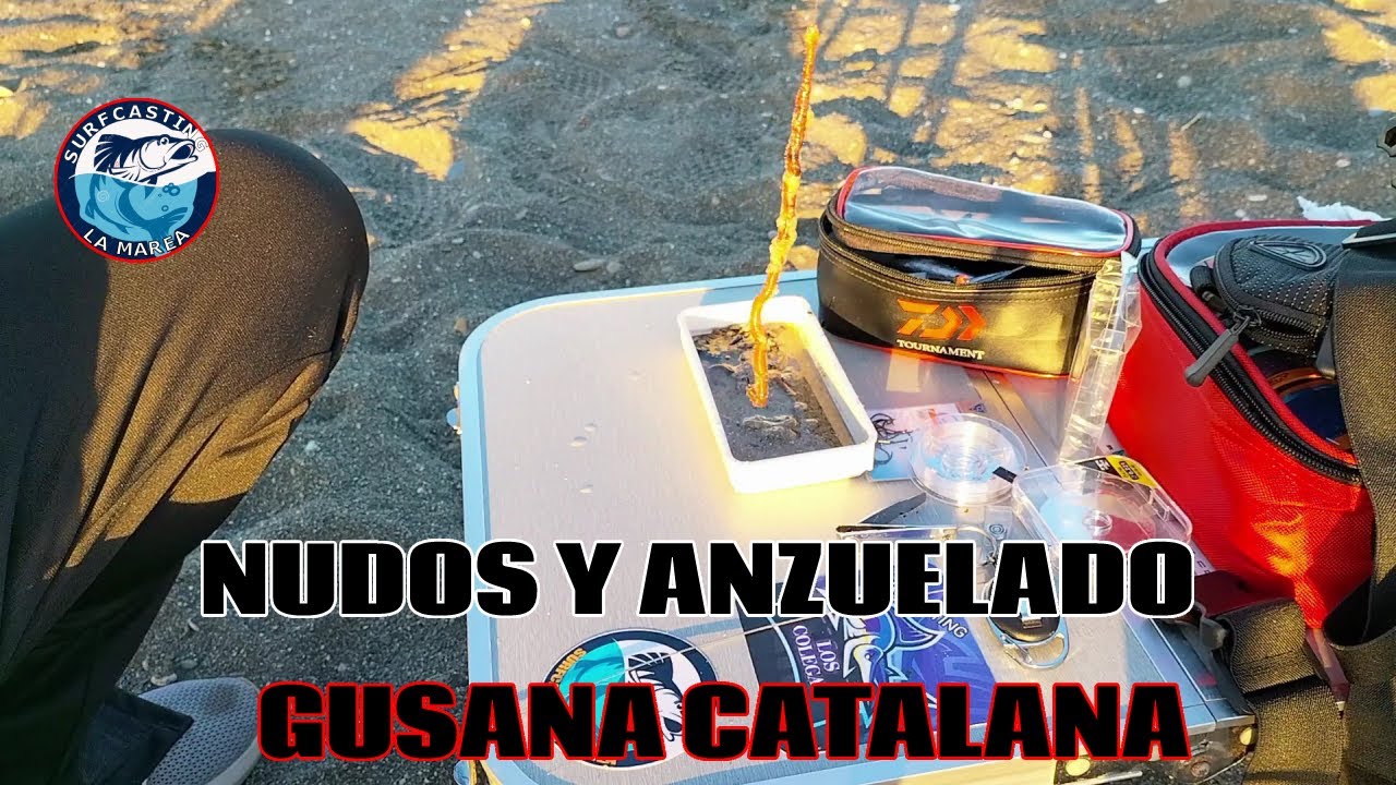 PESCA SURFCASTING .Nudos y anzuelado de gusana catalana.Tutorial cebos.