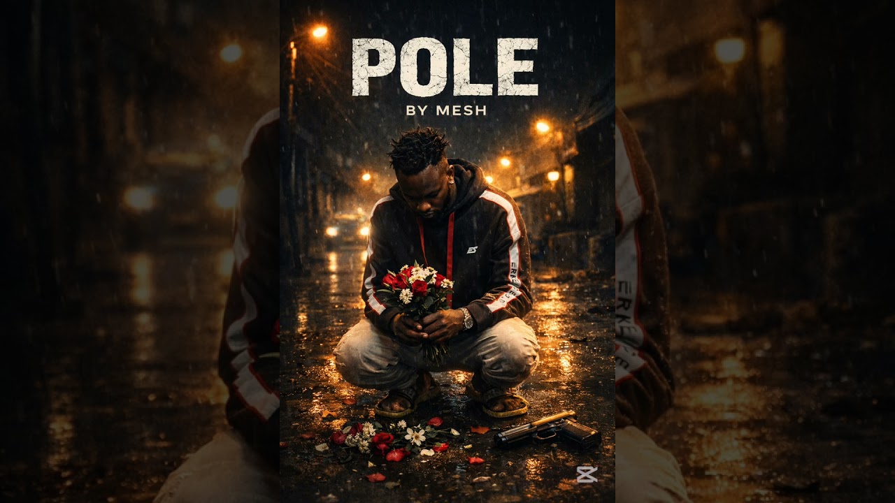 Pole by mesh ( audio music )