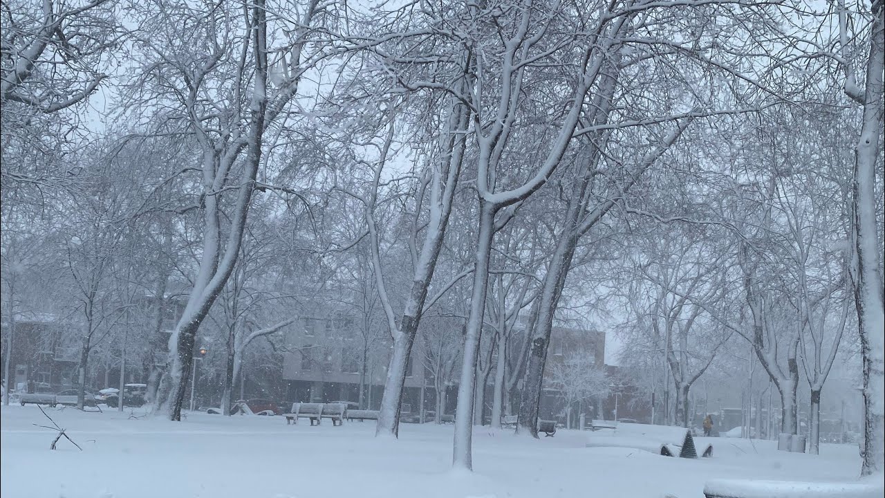 un cubano en montreal invierno 🥶