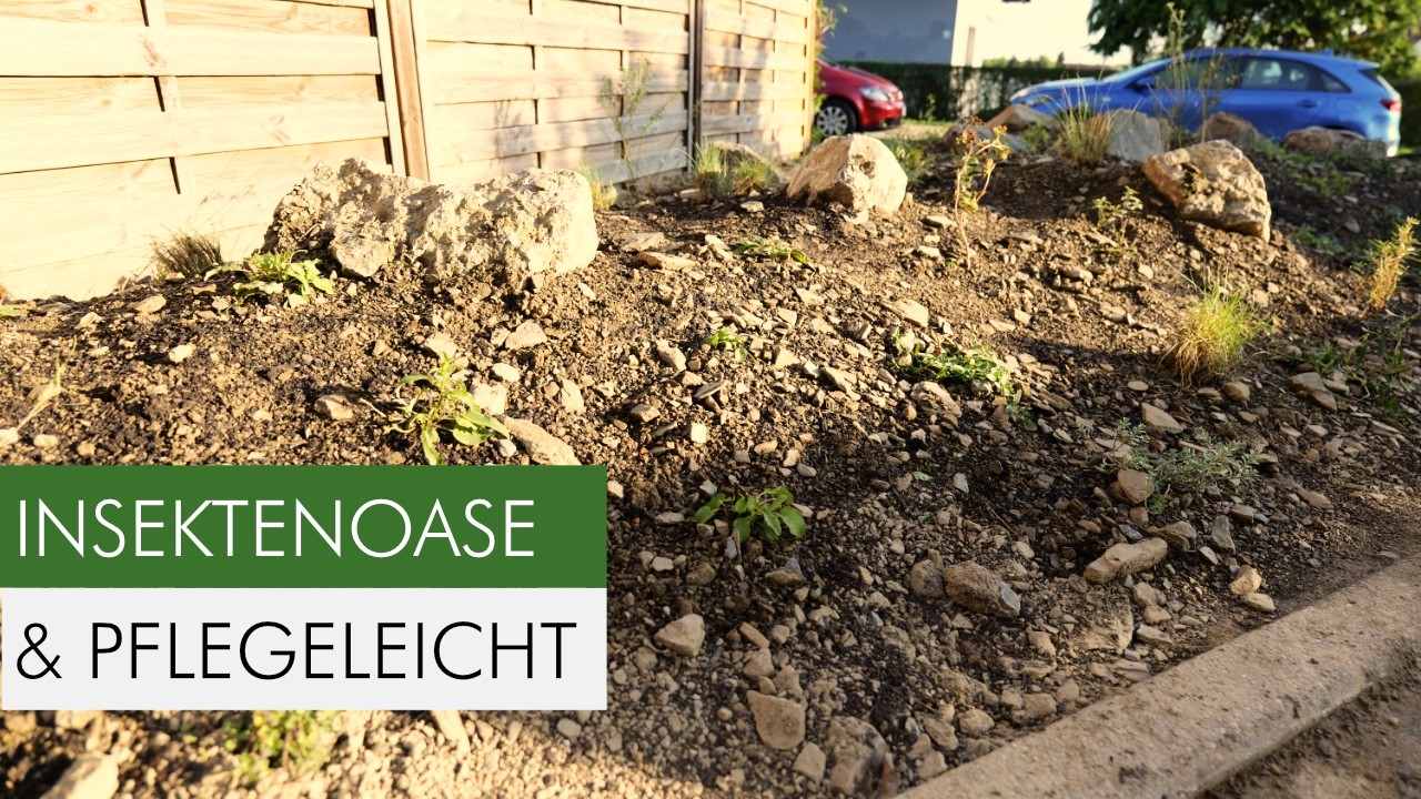 So legst du ein Magerbeet richtig an! Alle Schritte, Tipps & Pflanzen erklärt