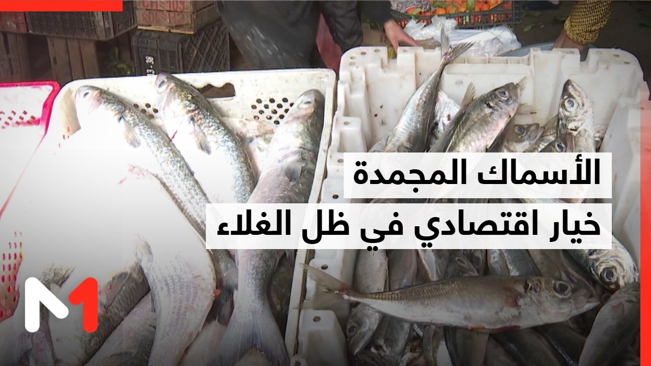 غلاء الأسماك يدفع المستهلك نحو سوق الأسماك المجمدة