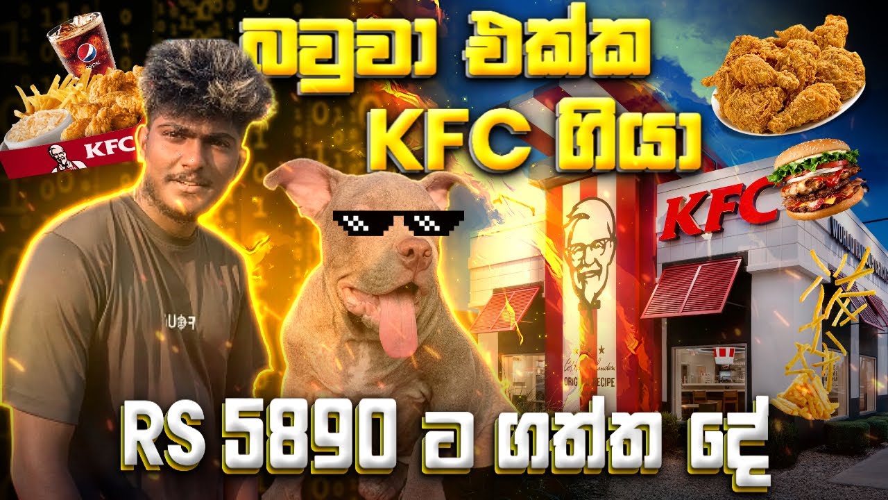 බවුවා එක්ක KFC ගිහිමි උන වැඩෙි 🐕🍗 american bully Dog In Kfc sri lanka