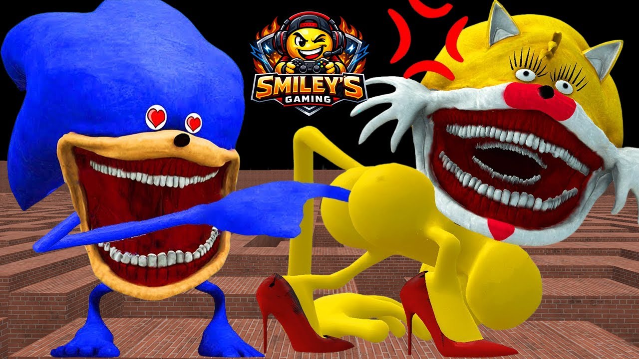 New Shin Sonic Tails Tapes Love Story! The Shin Sonic Tapes Animation in Garry's Mod