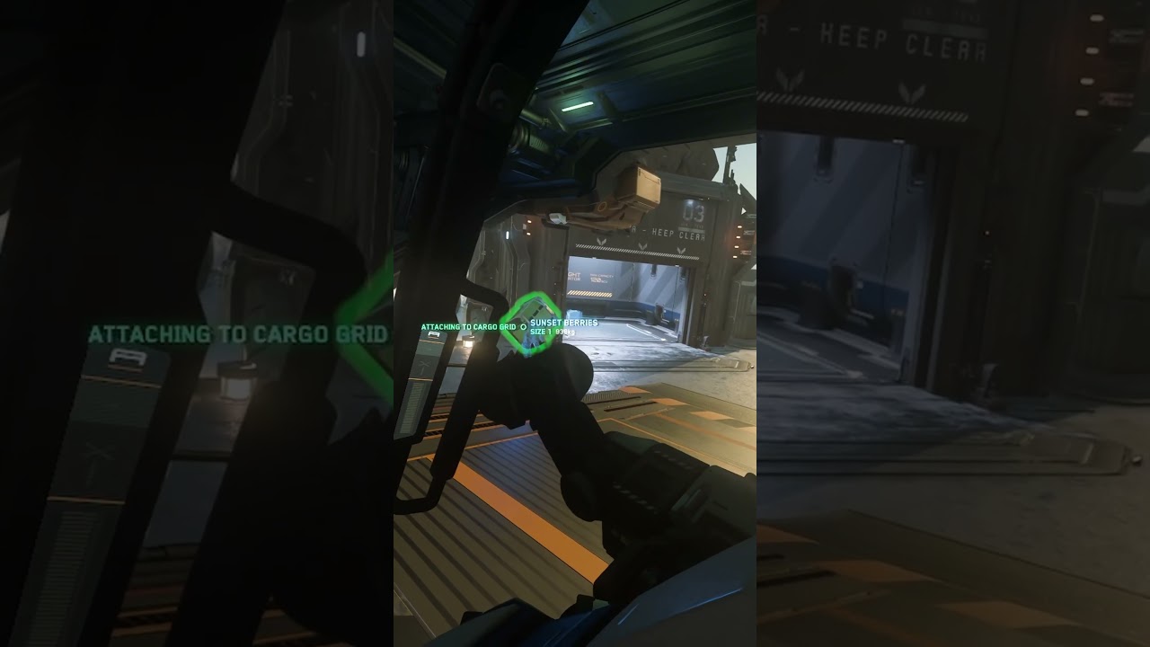 The Sunset Berry Issue | Star Citizen