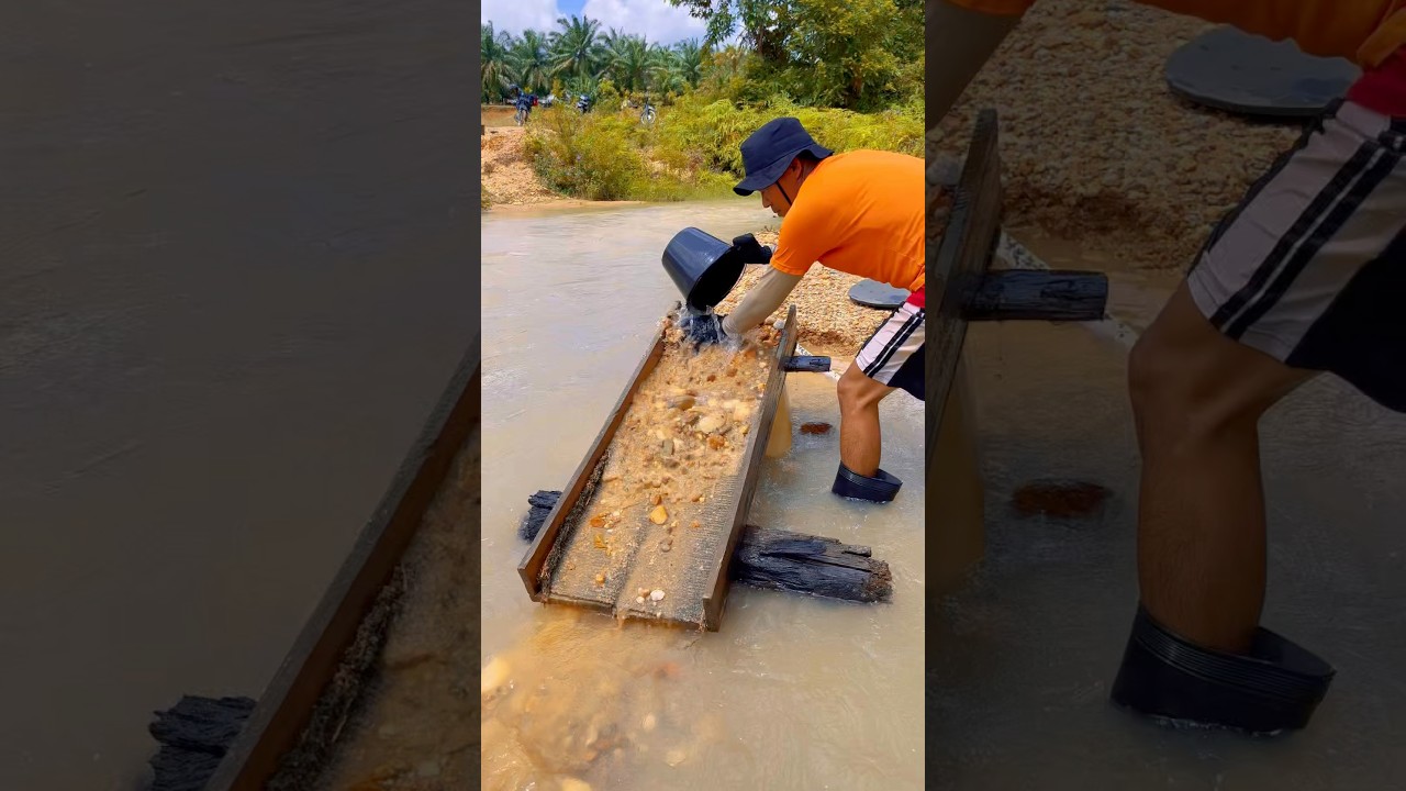 Karpet pencari emas tanpa mesin, tambang emas tradisional, gold prospector