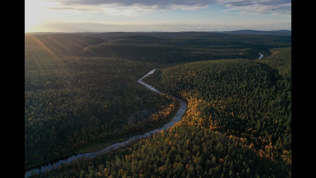 Väkivaltaus II 2020