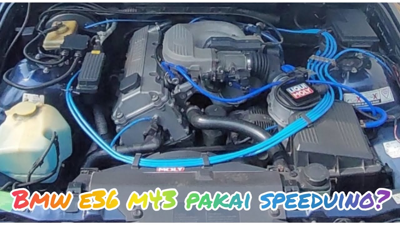 Bmw 318i E36 M43 pakai Standlone Speeduino