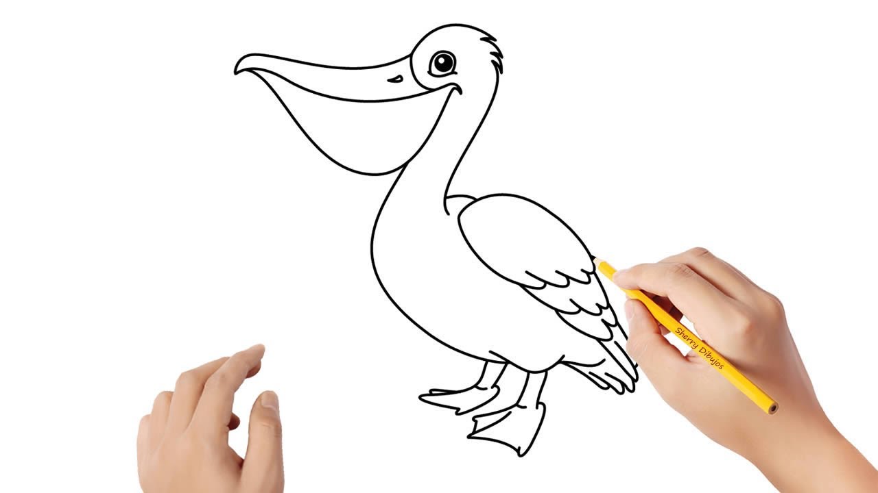 Cómo dibujar un pelícano | Dibujos sencillos