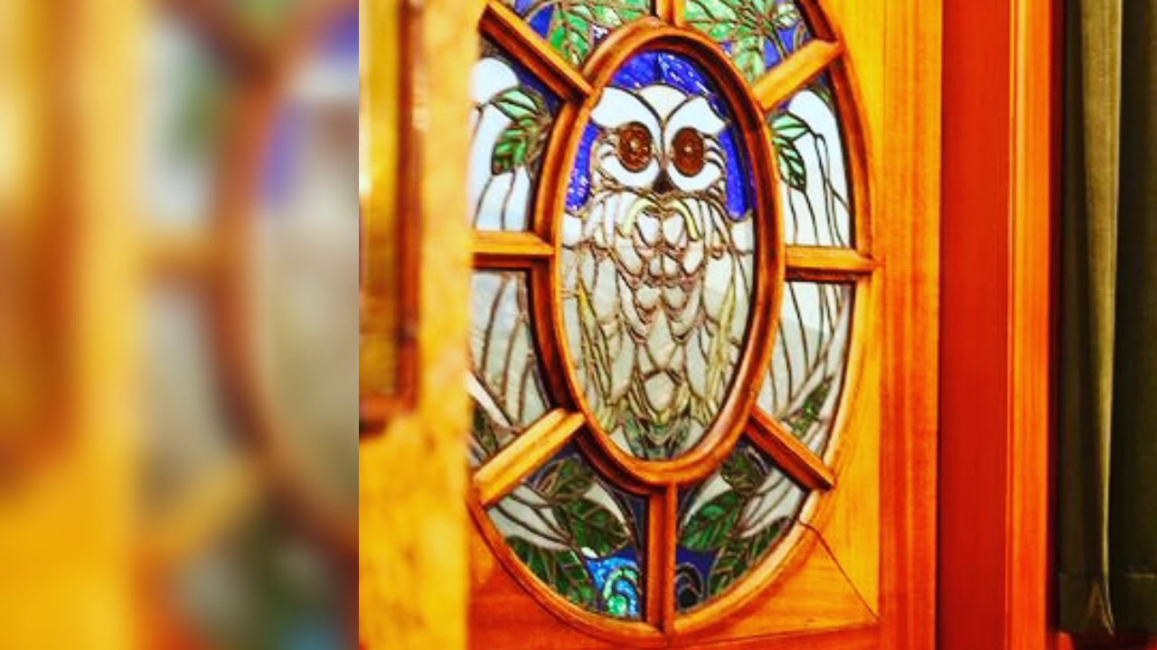 Only For Owl Lovers🦉🦉