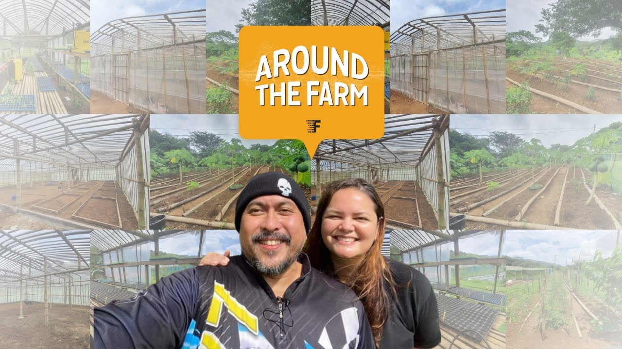 FARM PROGRESS || AROUND THE FARM