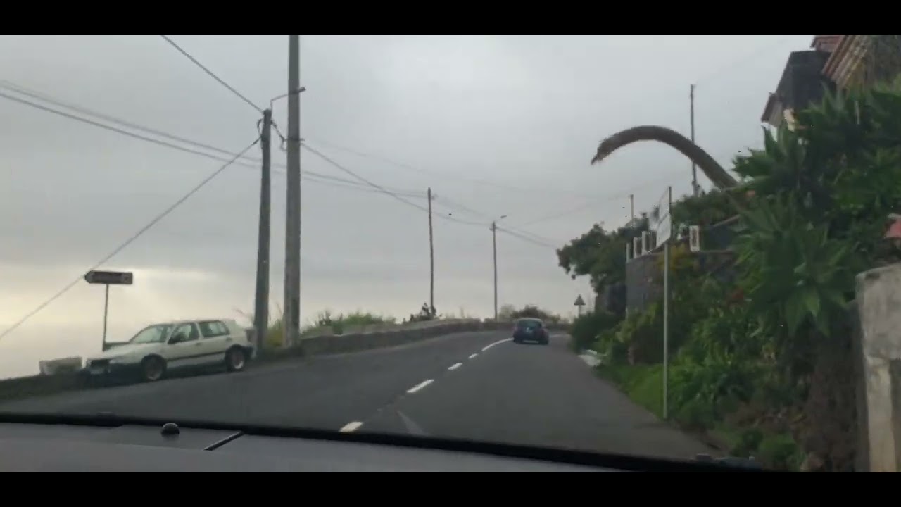 Estrada antigua de Estreito Cámara de lobos Até Ribeira Brava 11/03/2022