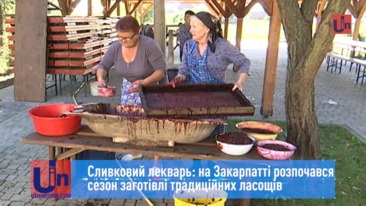 Сливковий лекварь: на Закарпатті розпочався сезон заготівлі традиційних ласощів