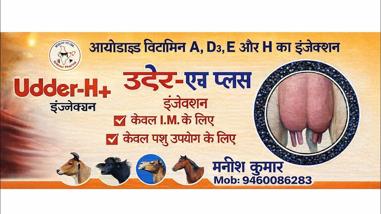 Udder -H+ injection के बारे में पुरी जानकारी देखिए #trending ,#cow #cowcare #pashuchikitsa 