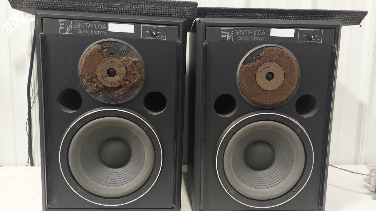 EV Sentry 100A Professional Studio Monitor Pair