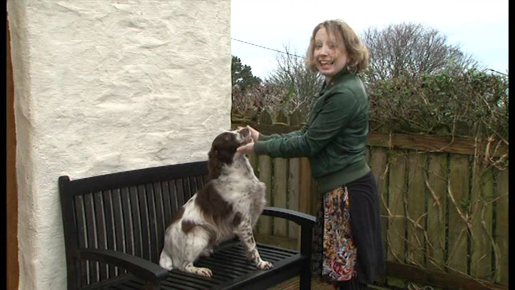 Dysgu Cymraeg / Learning Welsh