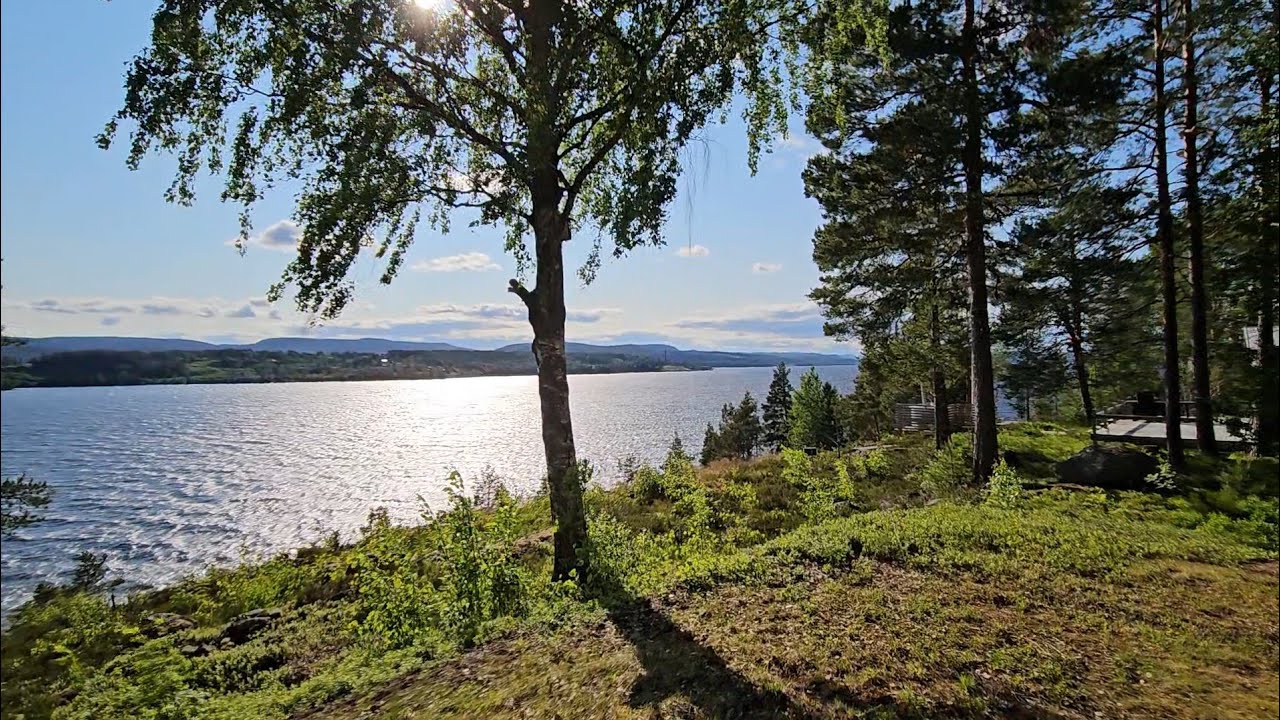 Sweden - 🌞🇸🇪 Midsommar walk in Kramfors #697