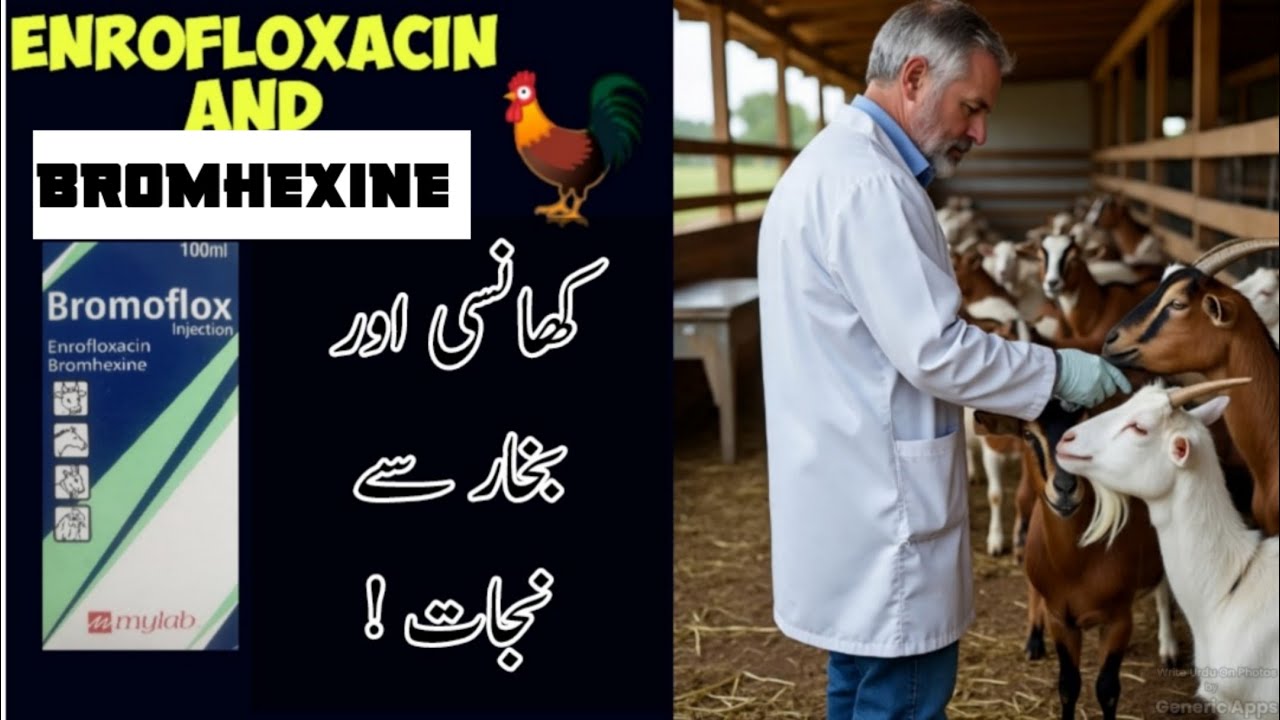 Bromoflox Injection | Uses and Dose | Enrofloxacin and Bromhexine | Veterinary Updates