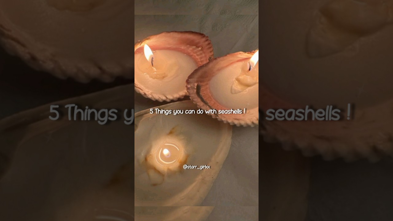 Things you can do with seashells !✨🐚 #summer #aesthetic #diy #decor #shorts