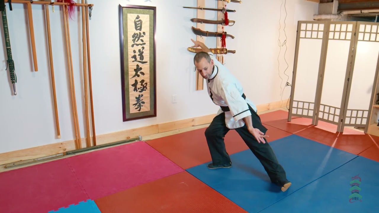 Cannon Fist Section One V3