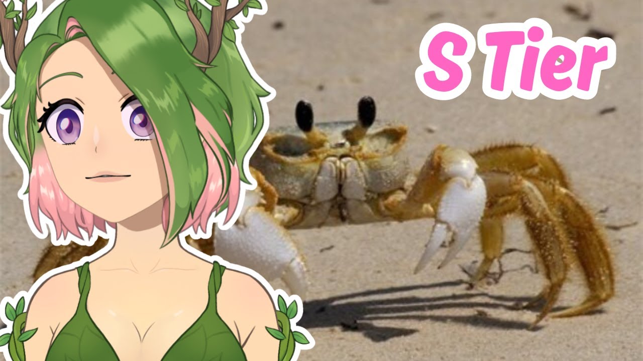 The Crustacean Tier List | Cami reacts to Tier Zoo