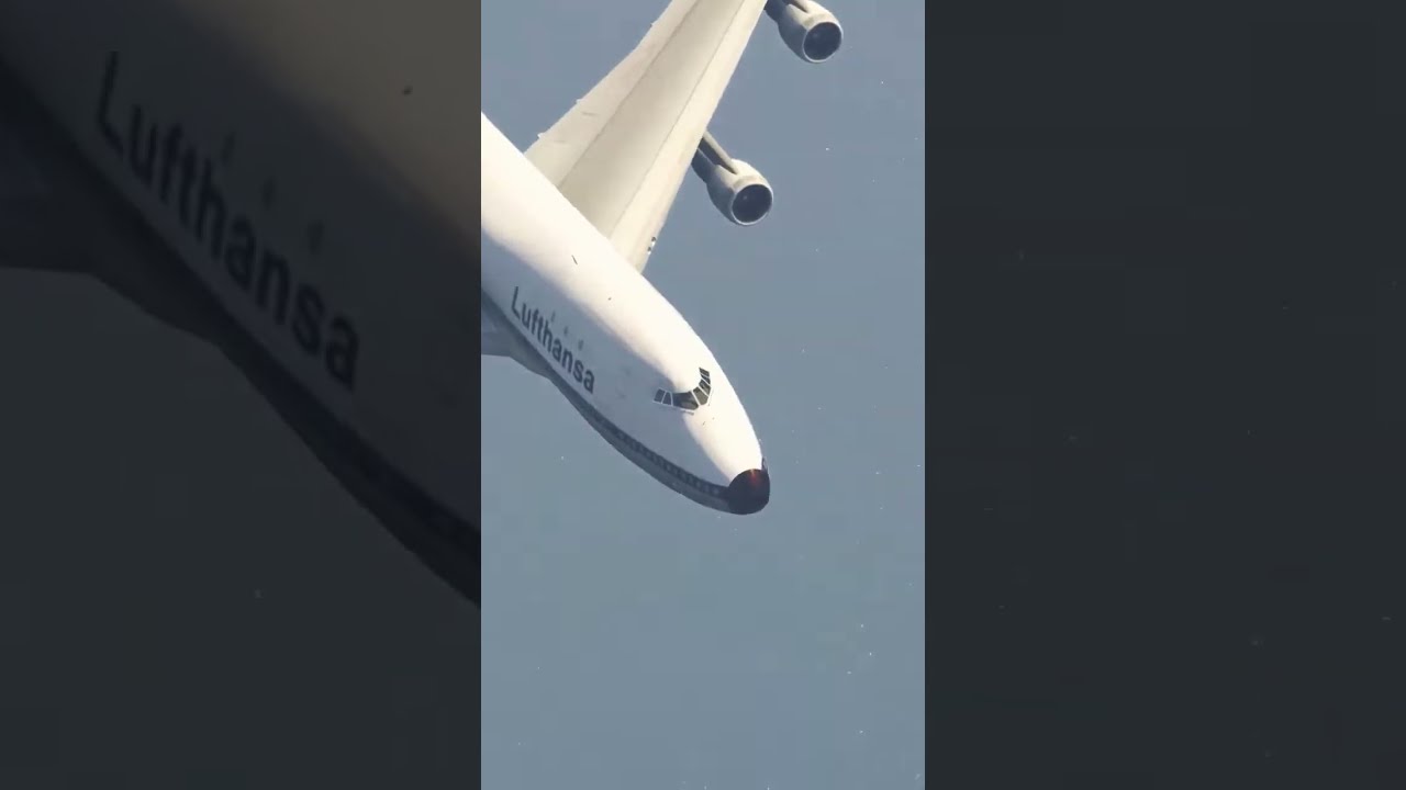 Cow Accidentally Came During Airplane Landing