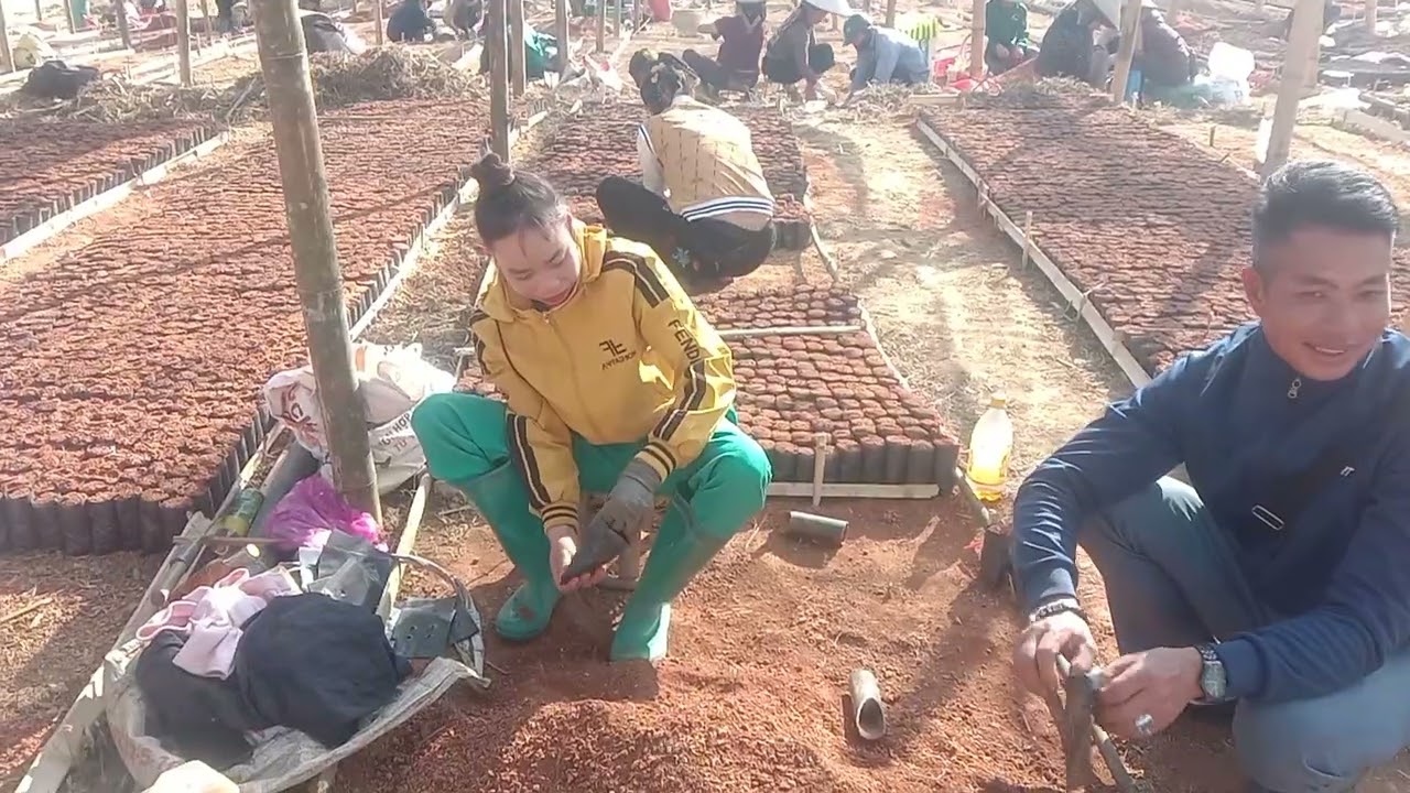 Em hương chăm chỉ làm việc lắm rồi nha
