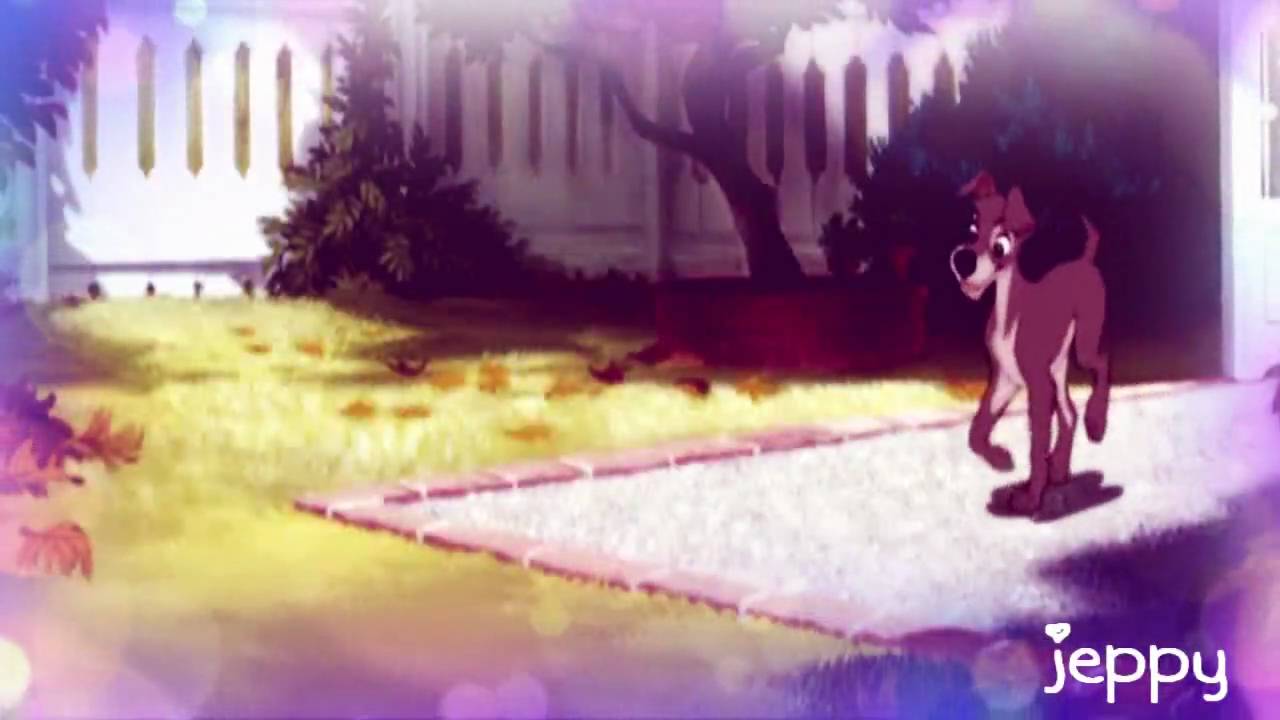 Animash|| Like OMG, Baby