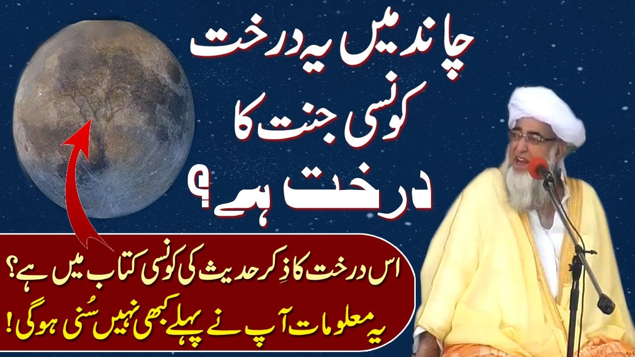 Chanad main darakht kis Jannat ka Darakht ha || Mufti Zarwali Khan || Islamic Urdu