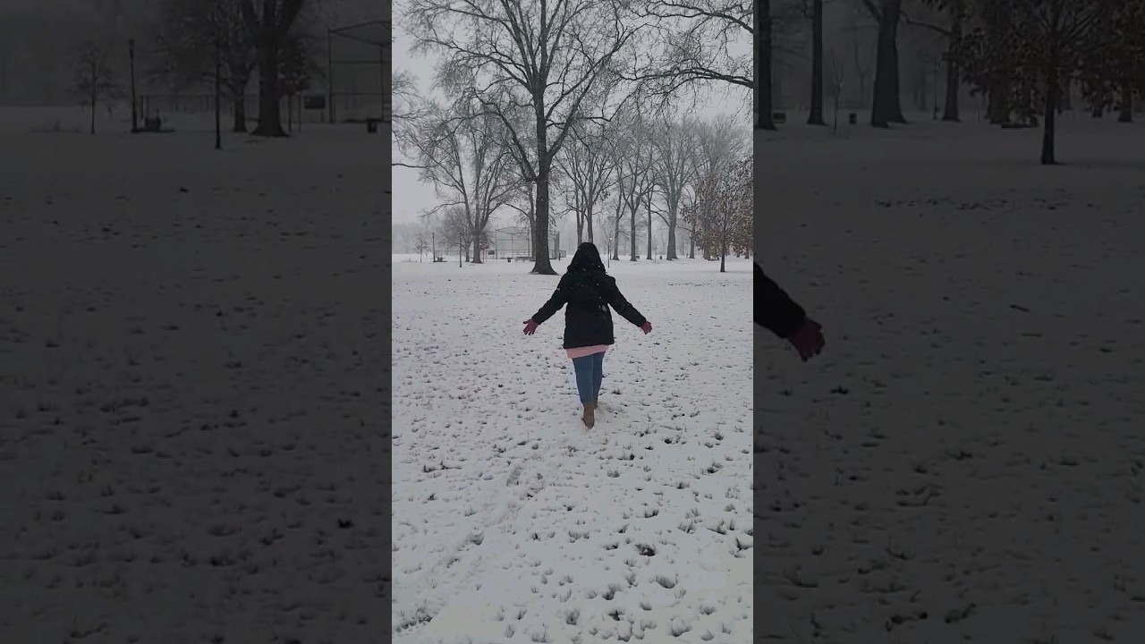 Beautiful Snowday at Brooklyn NYC  