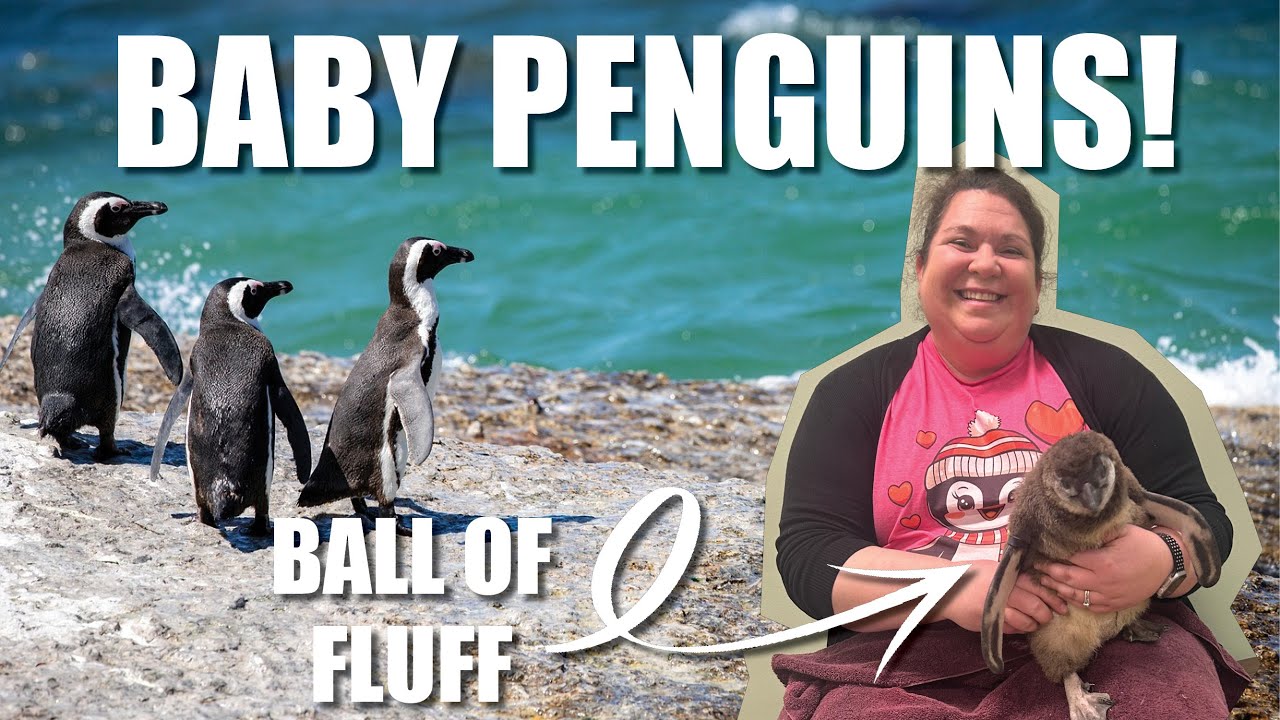 They let me feed a baby penguin!? (Tanganyika Wildlife Park in Wichita)