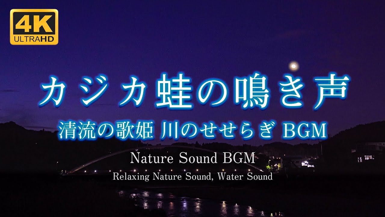 清流の歌姫 カジカガエルと川のせせらぎ 野鳥の鳴き声【睡眠・作業用BGM】Relaxing Nature Sound BGM