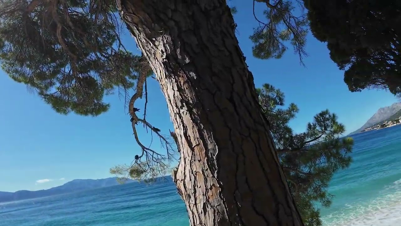 29.09.24 Gradac-3