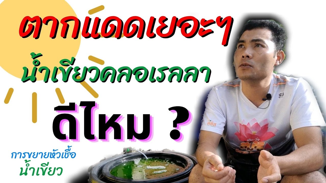 น้ำเขียว คลอเรลลา ตากแดดทั้งวันดีไหม?  แก้ไขยังไงดี โดย ปลากัดไทย