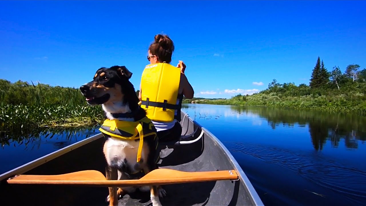 Fishing in My New Canoe! Someone Goes for a Swim!!