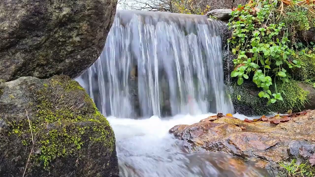 akarsu sesi / su sesi / 3 SAAT / REKLAMSIZ Dere Irmak Doğa Sesleri