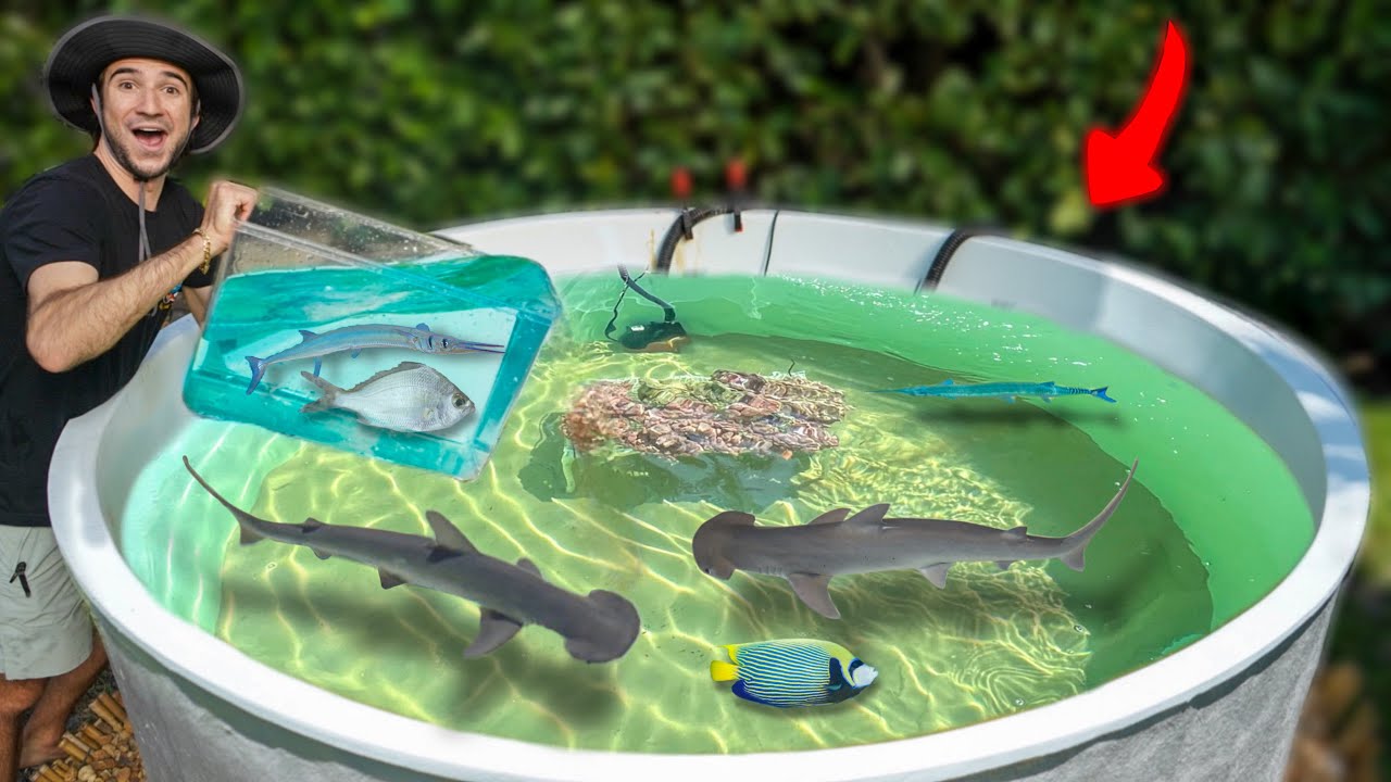 I Caught Tons of Fish For My Backyard Saltwater Pond!!