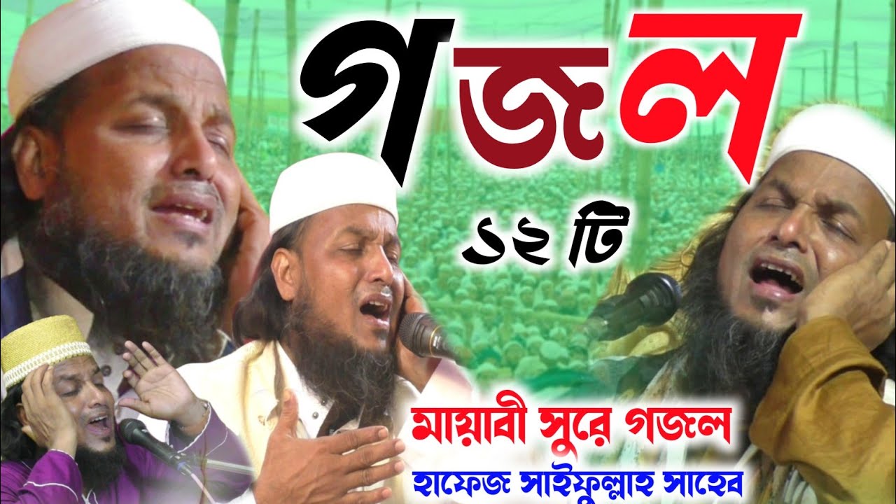 সাইফুল্লাহ সাহেবের পরপর ১২টি সুপার হিট গজল┇ সাইফুল্লাহ সাহেবের নতুন গজল┇saifullah saheb new gojal