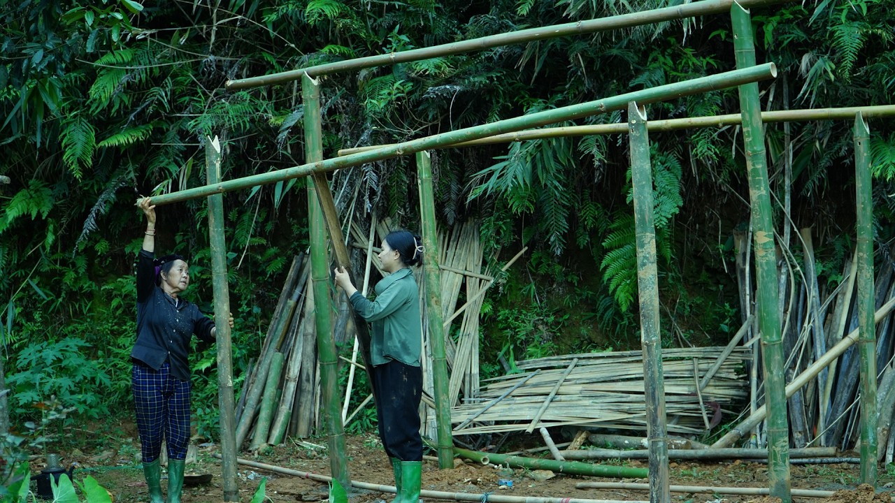 May transformed bamboo into a unique shed frame | A memorable experience
