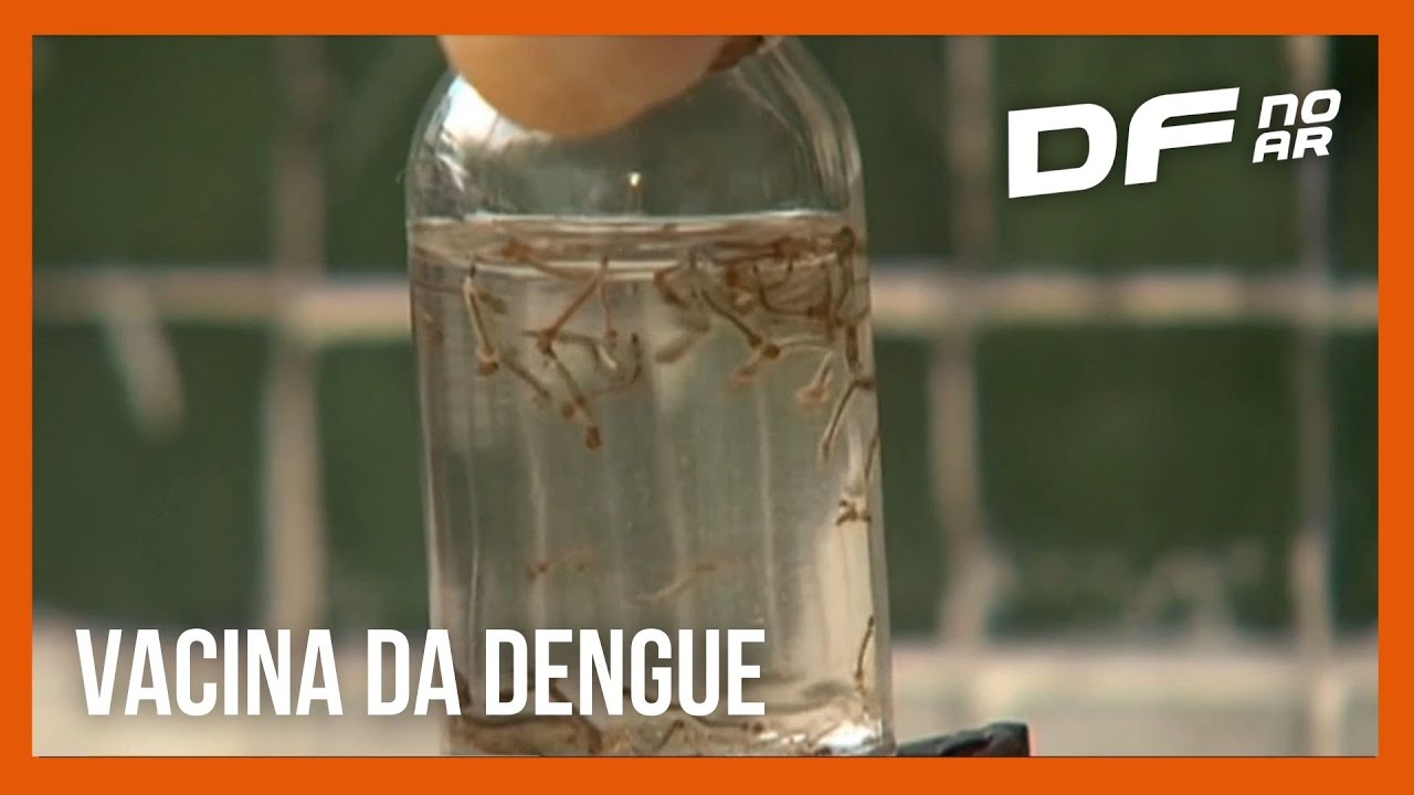 Minist&eacute;rio da Sa&uacute;de incorpora vacina da dengue no SUS | DF no Ar