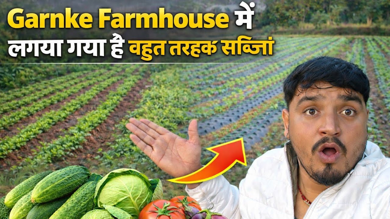 Garnke Farmhouse mein lagaya Gaya bahut sabjiyan🥦🫛 #nayachahavlogs #sabjiyan #garnkeghati #dailyvlog