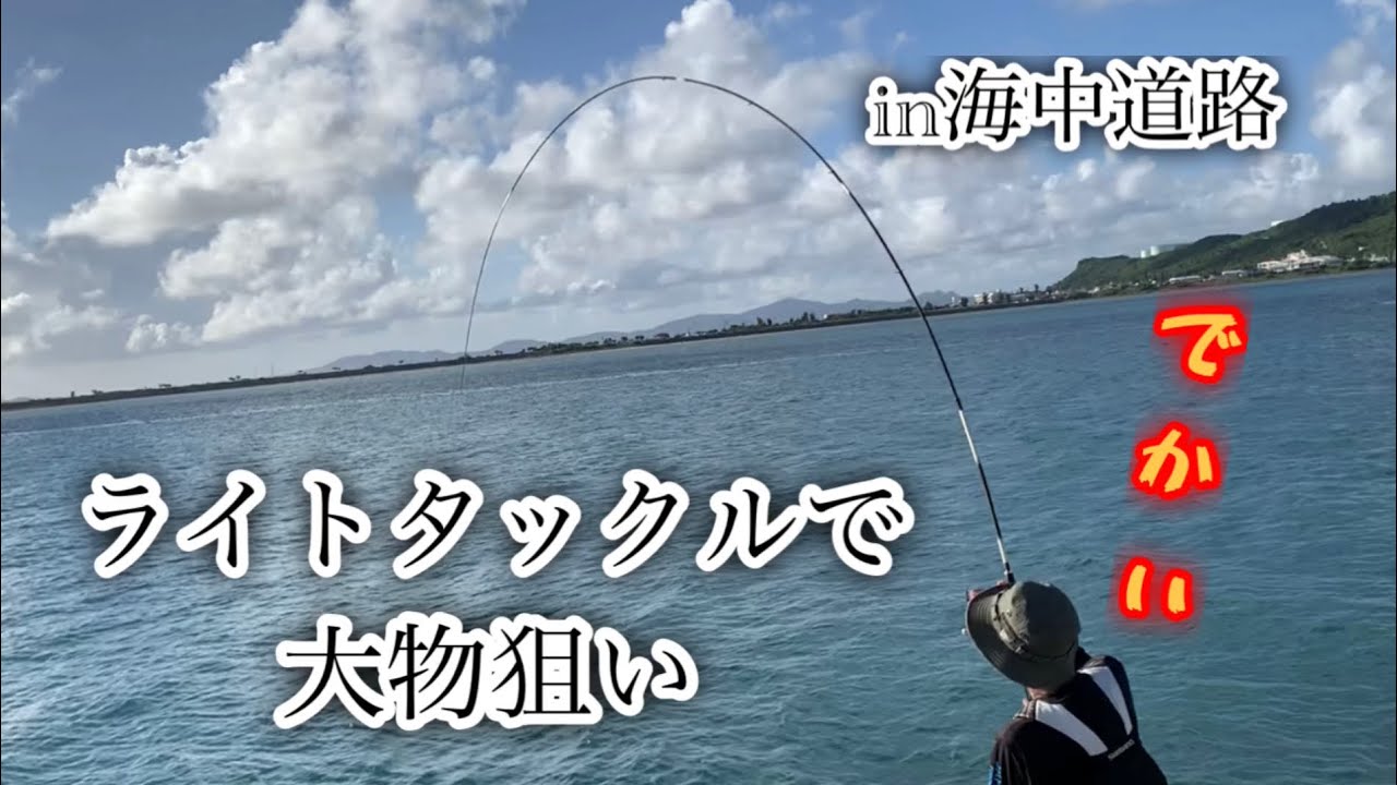 ライトタックルで大物連発！？※タックルミス【沖縄釣り】【okinawa】