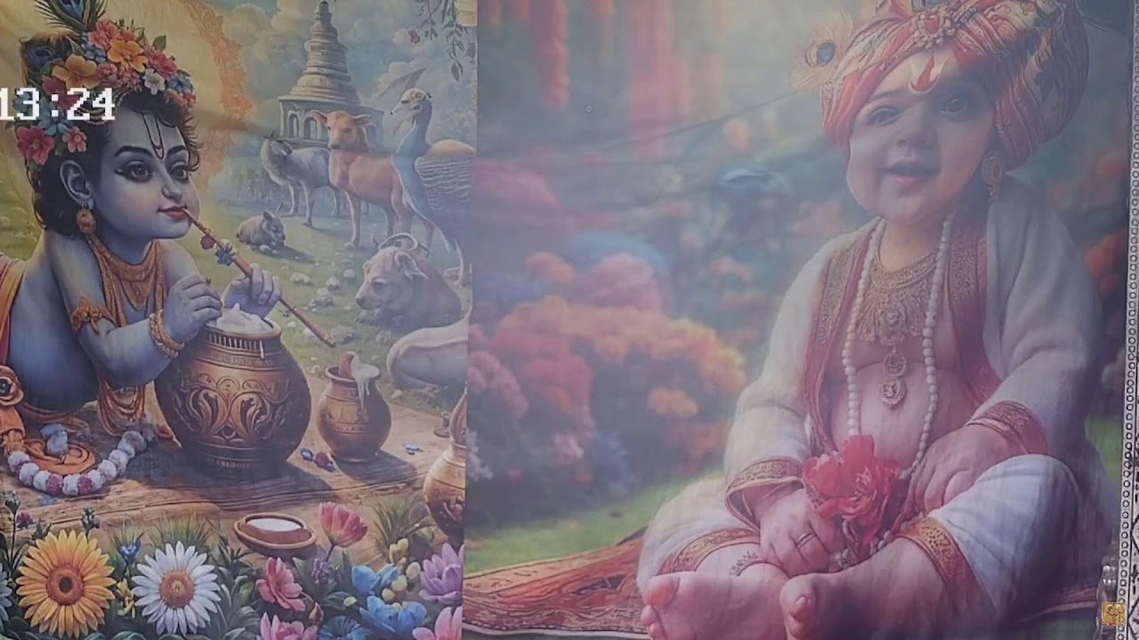 श्री सांवलिया सेठ जी झलझूलनी एकादशी मेला 2024