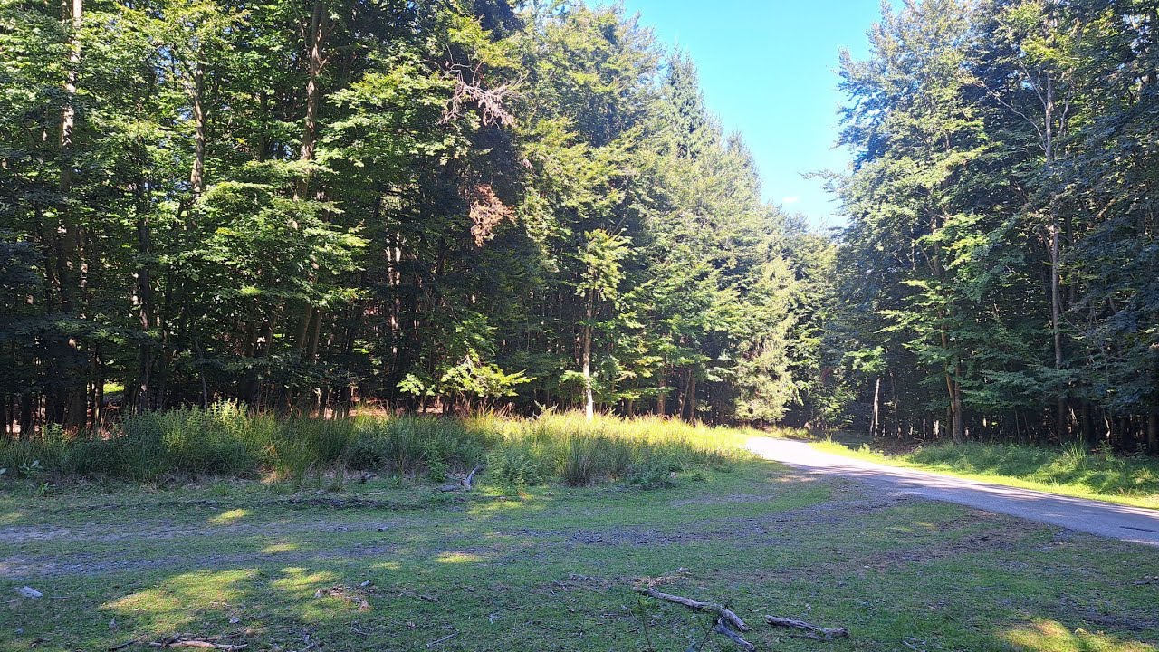 30 minutes Beautiful Slovak forest ride 4k video for indoor training, cycling, relaxing